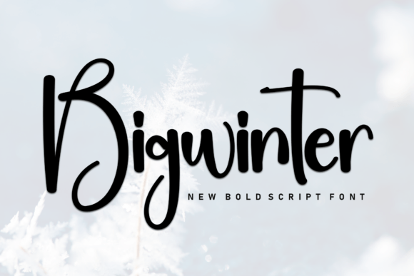 Bigwinter: The Bold Marker Font with an Energetic Vibe