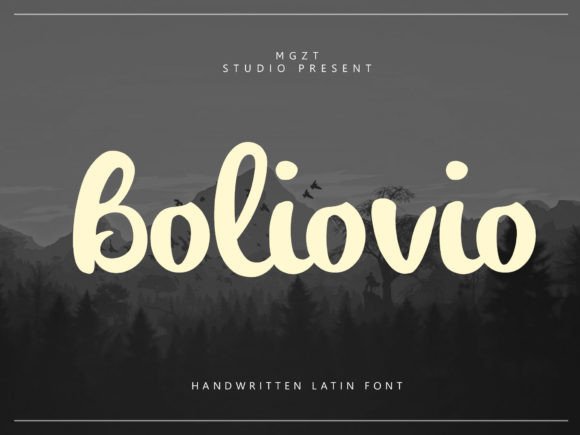 Boliovio: Balancing Timeless Elegance with Modern Design Needs