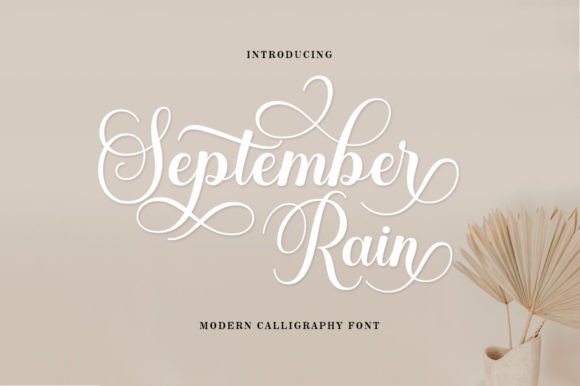 September Rain: A Typeface for Elegant Visual Storytelling